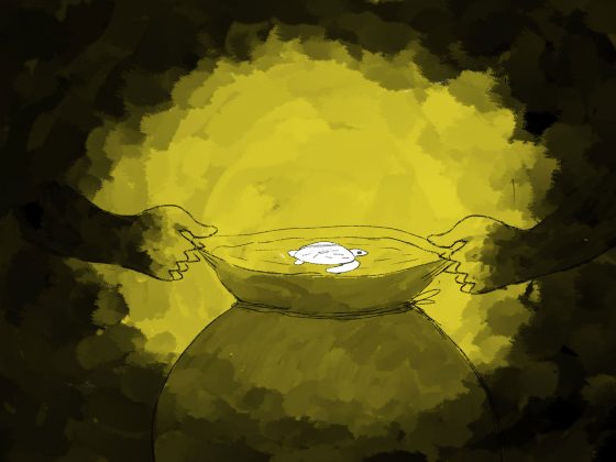 Lettura virtuale "La tartaruga che voleva diventare un salice piangente"