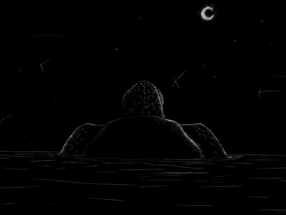 Lettura virtuale "La tartaruga che voleva diventare un salice piangente"