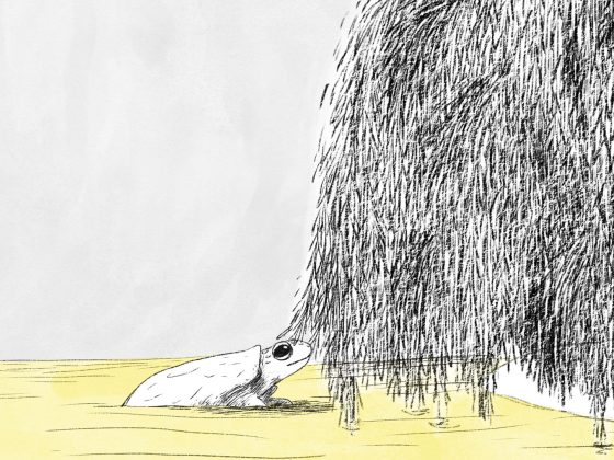 Lettura virtuale "La tartaruga che voleva diventare un salice piangente"