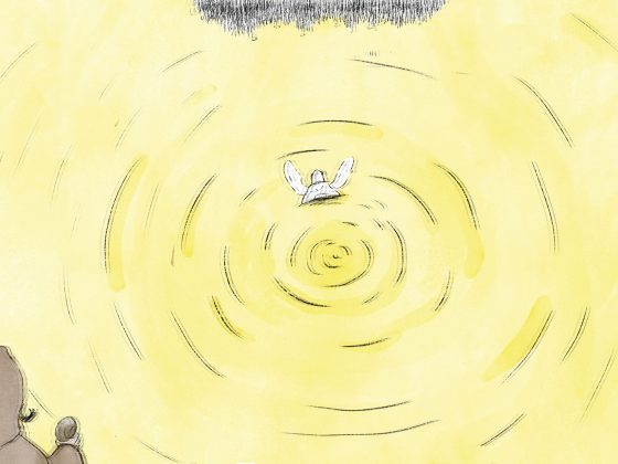 Lettura virtuale "La tartaruga che voleva diventare un salice piangente"